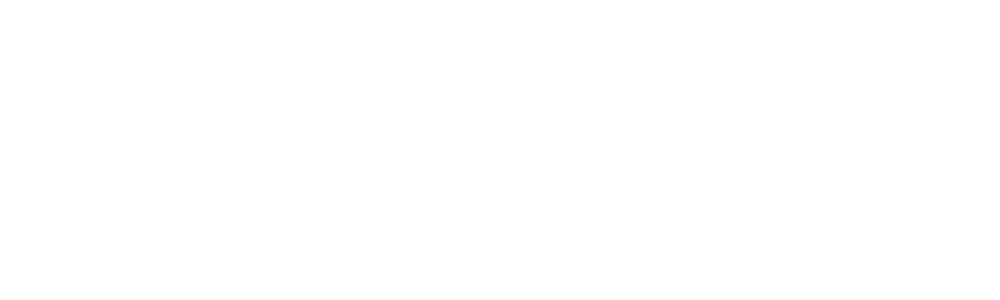Jan Kaminski Logo